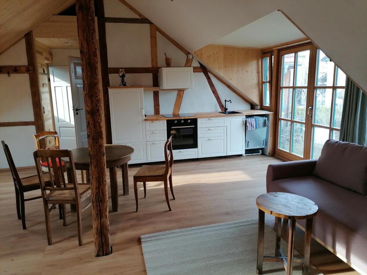 Ferienwohnung Villa Claudia ドレスデン エクステリア 写真